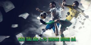 Kèo tài xỉu 1.75 trong bóng đá